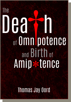 Black book cover with red cross and white text: The Death of Omnipotence... and Birth of Amipotence